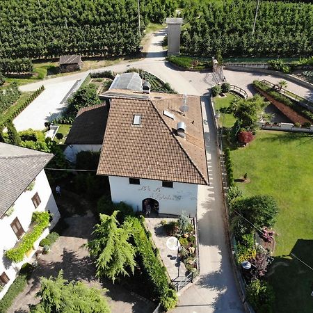 Al Trifoglio Bed & Breakfast Campodenno Bagian luar foto