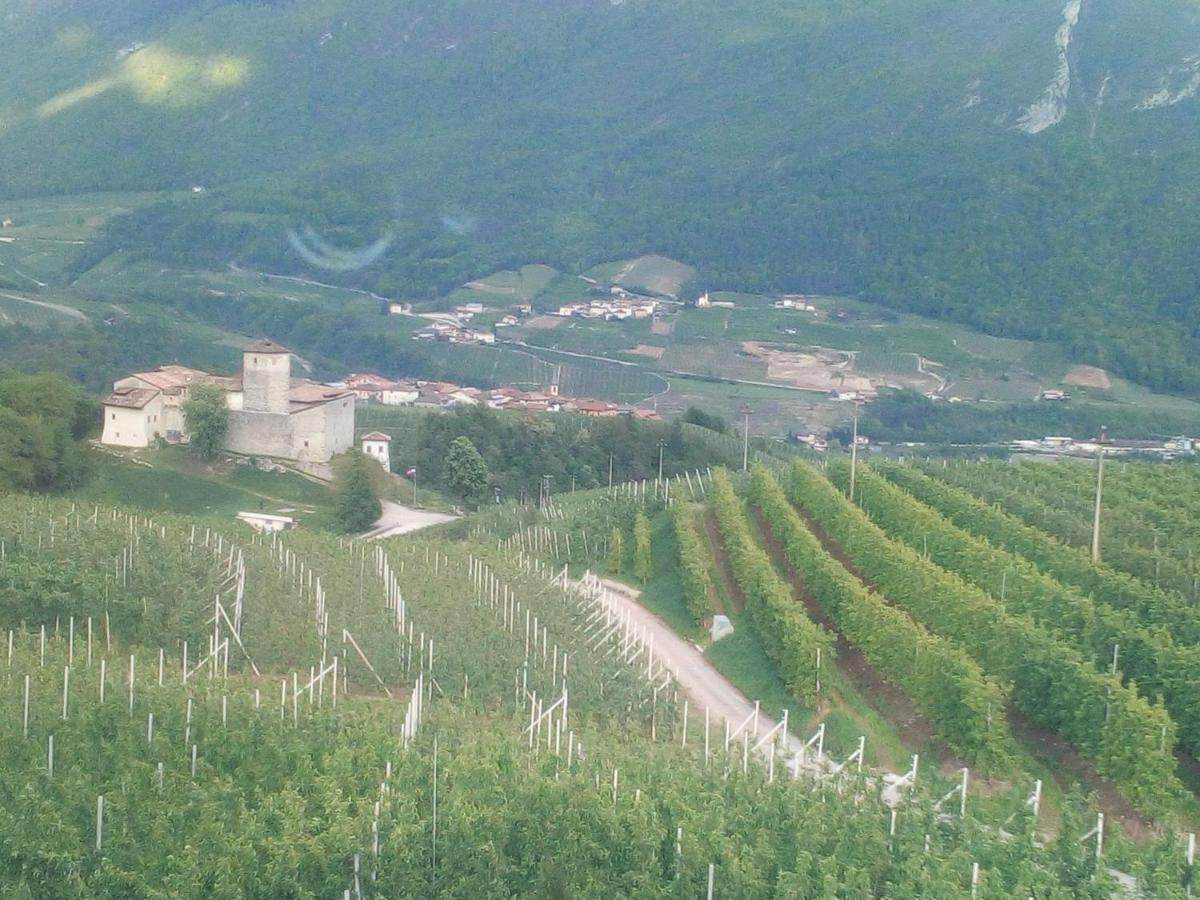 Al Trifoglio Bed & Breakfast Campodenno Bagian luar foto