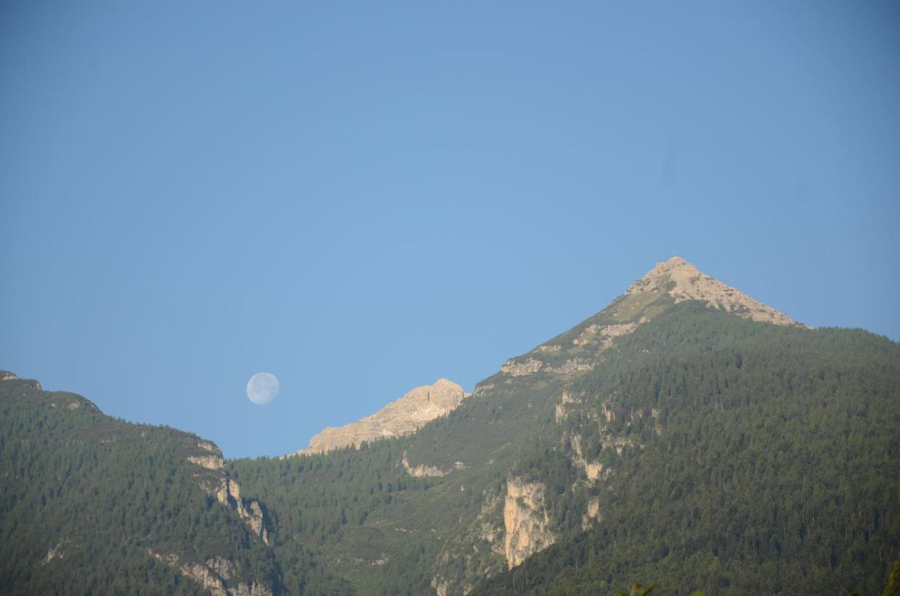 Al Trifoglio Bed & Breakfast Campodenno Bagian luar foto