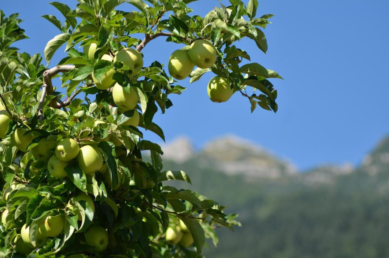 Al Trifoglio Bed & Breakfast Campodenno Bagian luar foto