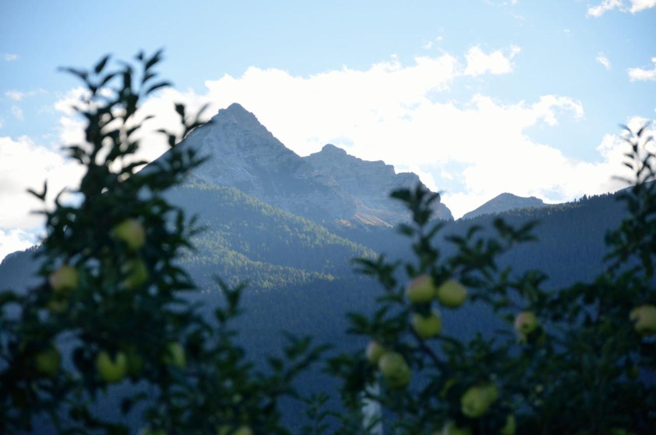Al Trifoglio Bed & Breakfast Campodenno Bagian luar foto