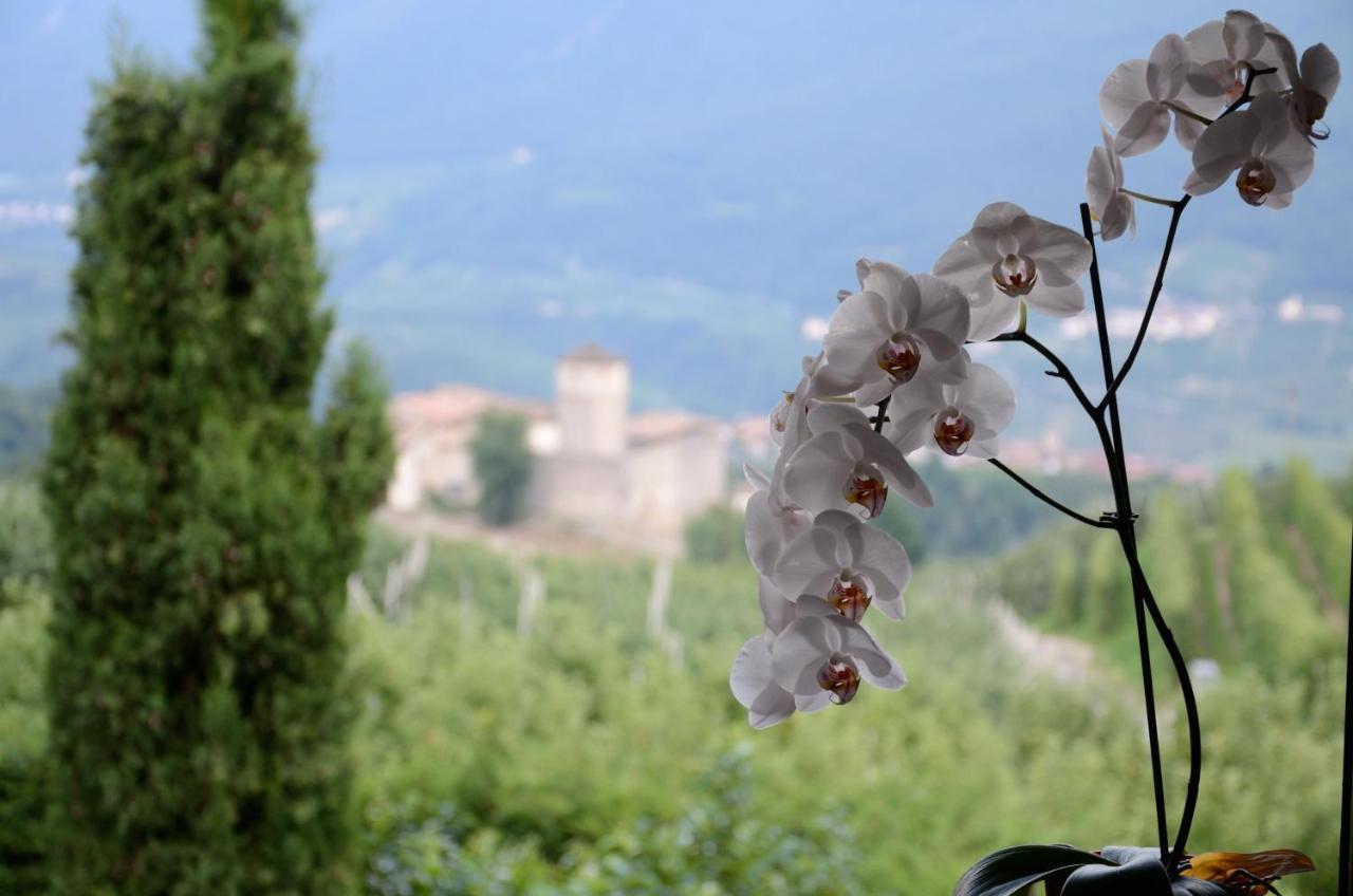 Al Trifoglio Bed & Breakfast Campodenno Bagian luar foto